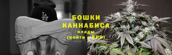 mix Богородицк