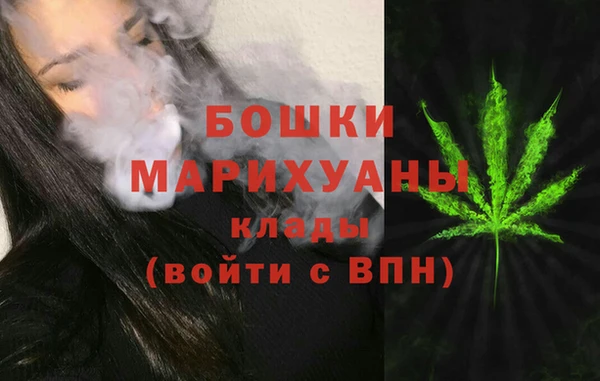 mix Богородицк